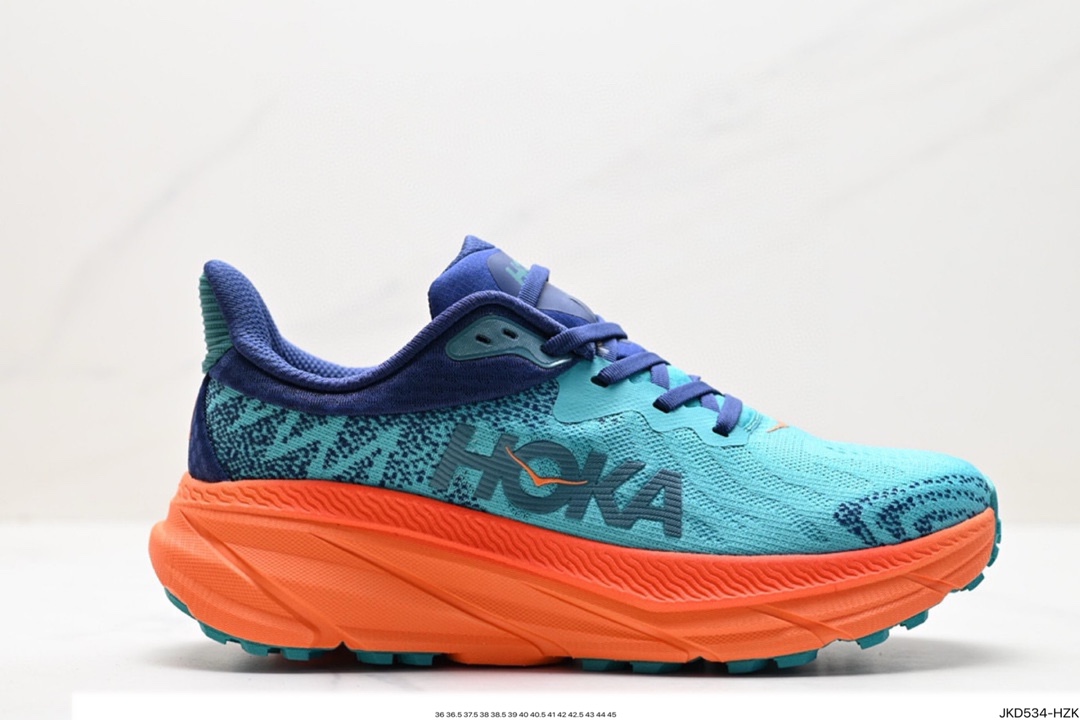 Hoka Shoes